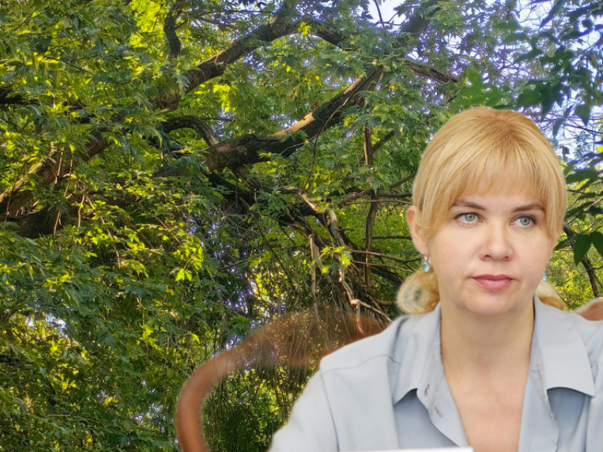  Как работает электронная приемная мэрии Воронежа, проверил «Блокнот»