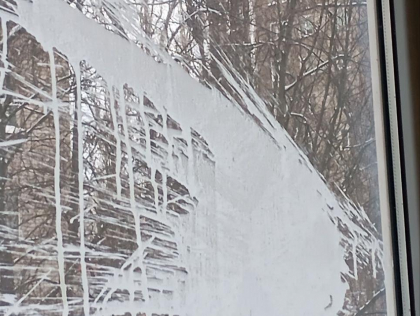 «Молочный» вандализм: воронежец заснял, как подростки атаковали его окно