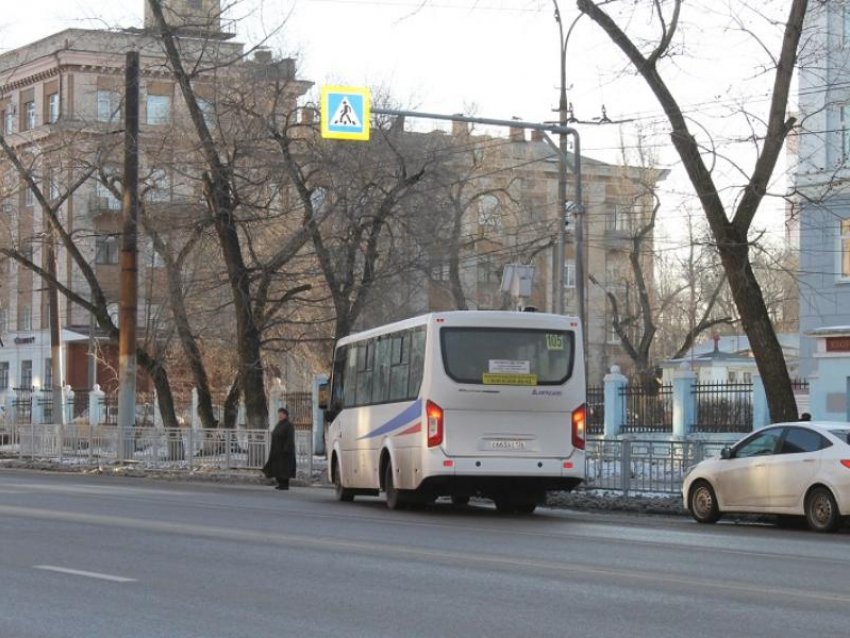Воронежские школьники рискуют жизнями из-за остановки на левом берегу 