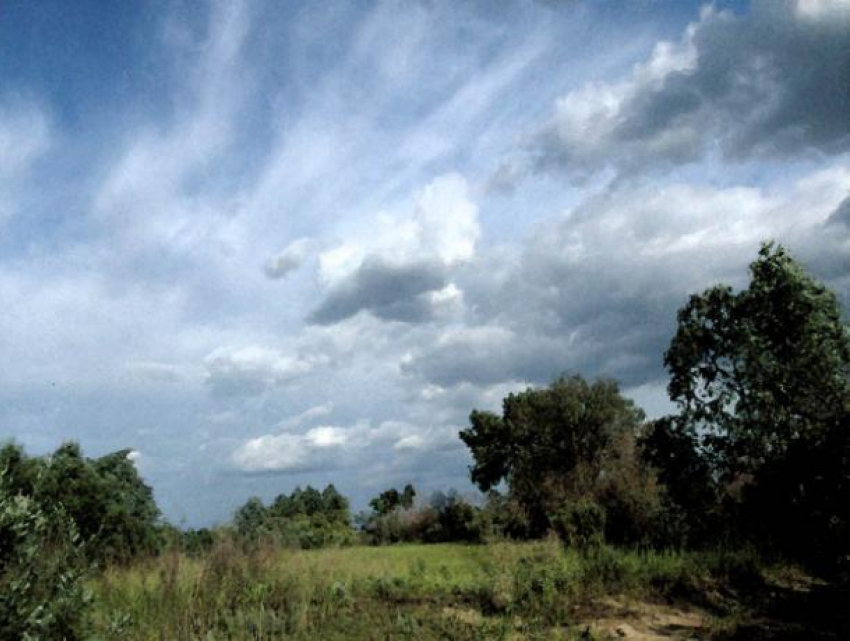 Холодный фронт пройдет через Воронеж на длинных выходных