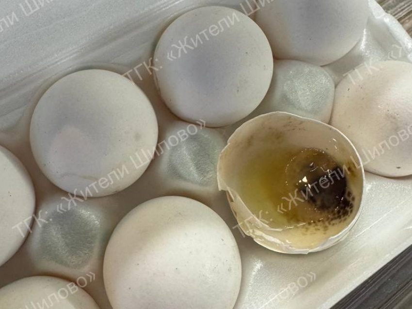 Просто мерзость: черные яйца напугали жителей Воронежа