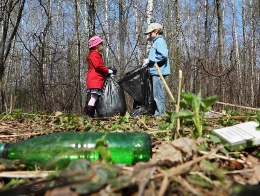 Воронежский заповедник подарит участникам субботника билеты на экологическую тропу