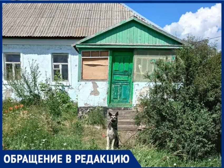Две собаки почти месяц остаются запертыми в доме без хозяйки в Воронежской области