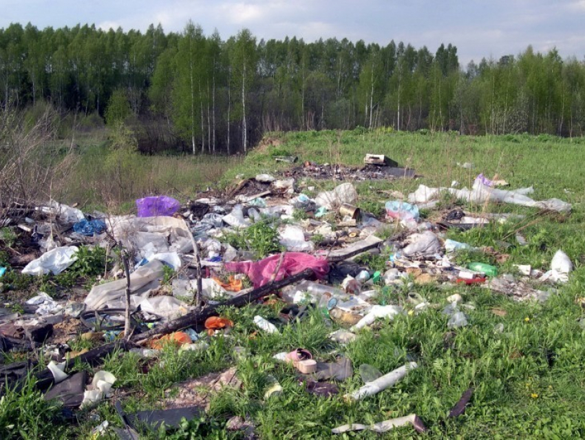 В Воронежской области разрабатывают новые методы по переработке мусора