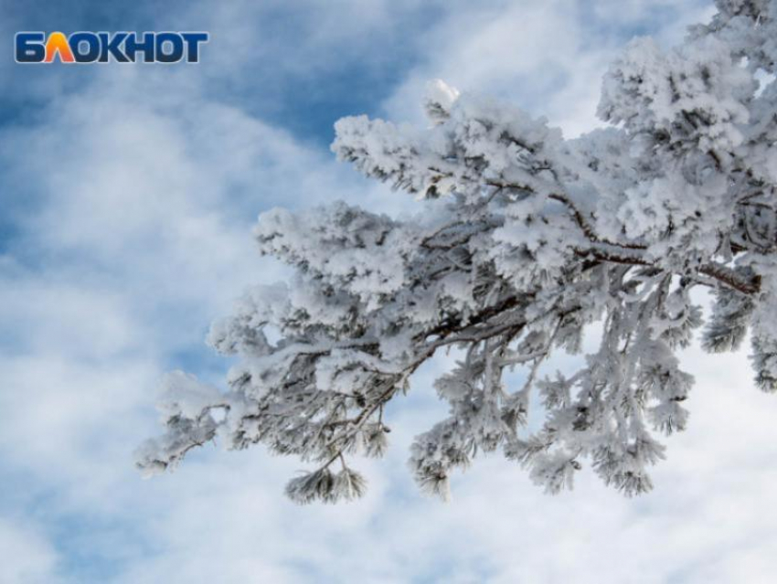 Ждать ли снега в декабре и на Новый год, рассказал глава Воронежского гидрометцентра 