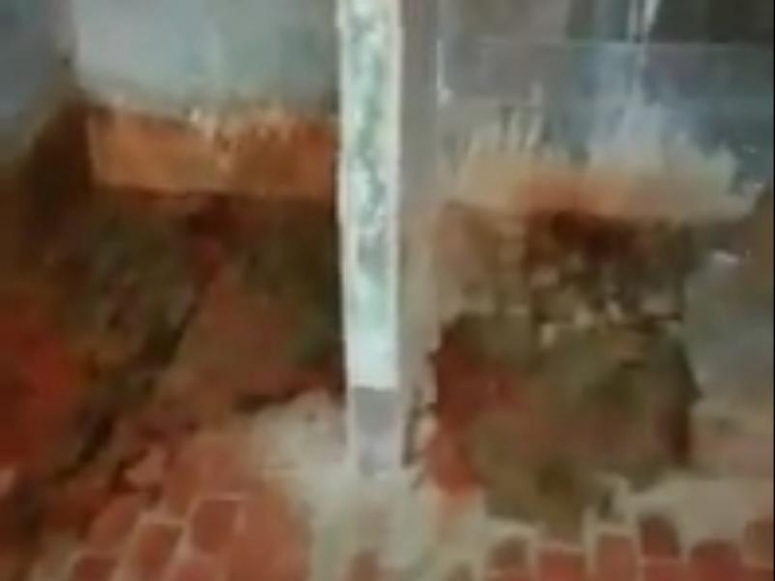 Фекальной разрухой воронежского интерната заинтересовался министр здравоохранения РФ