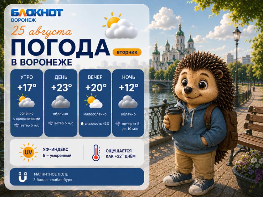 Конец аномальной жары: прогноз погоды в Воронеже