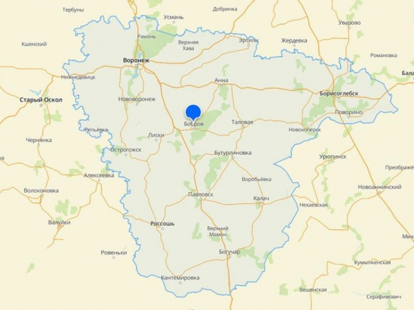 В двух районах Воронежской области завыли сирены на фоне объявленной тревоги по БПЛА