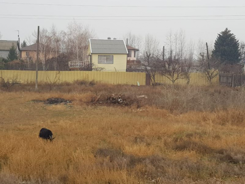 Стали известны финалисты конкурса «Самое красивое село Воронежской области-2021»