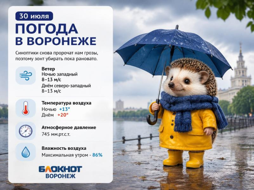 Погода продолжает устраивать воронежцам сюрпризы: прогноз погоды на три дня
