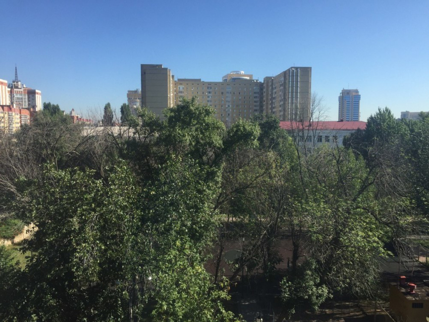 Синоптики обещают воронежцам теплые выходные