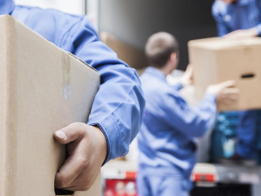 Воронежцам предложили съездить в Анапу и прокачать свои финансы честным трудом