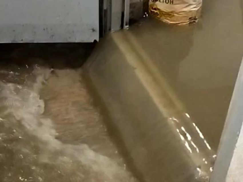 Потопы из нечистот в унитазах пятиэтажки показали на видео в Воронеже