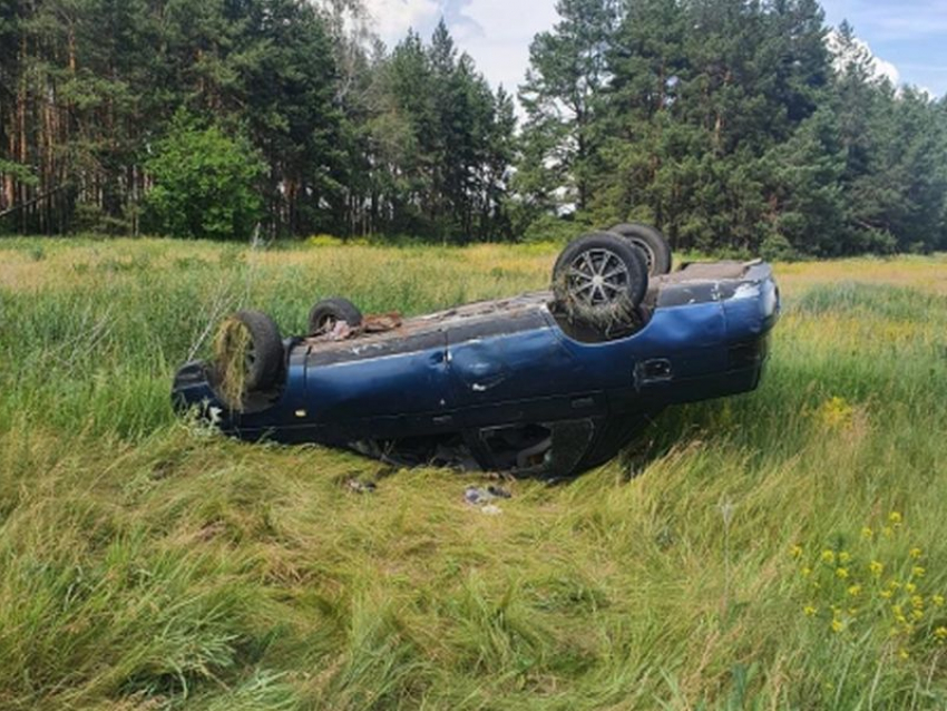 3-летний ребенок пострадал в ДТП с пьяным водителем в Воронежской области