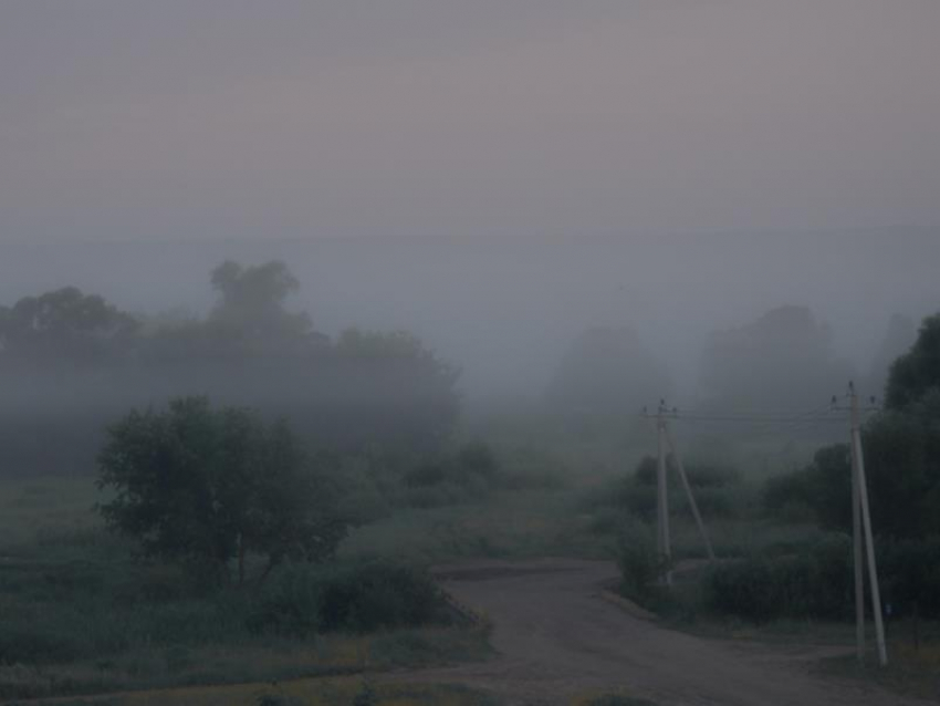 Мистический туман на озере со скандальной историей сняли в Воронеже 