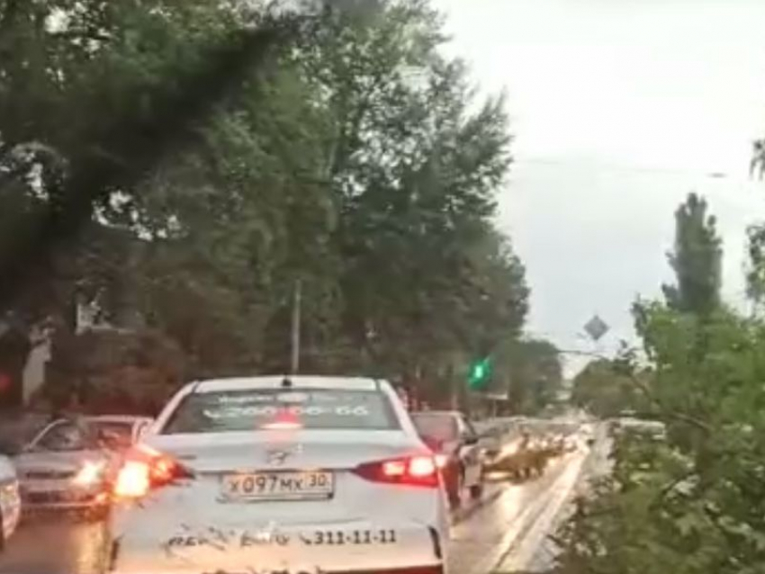 Сваленное ураганом дерево вынудило водителей ехать по «встречке» в Воронеже