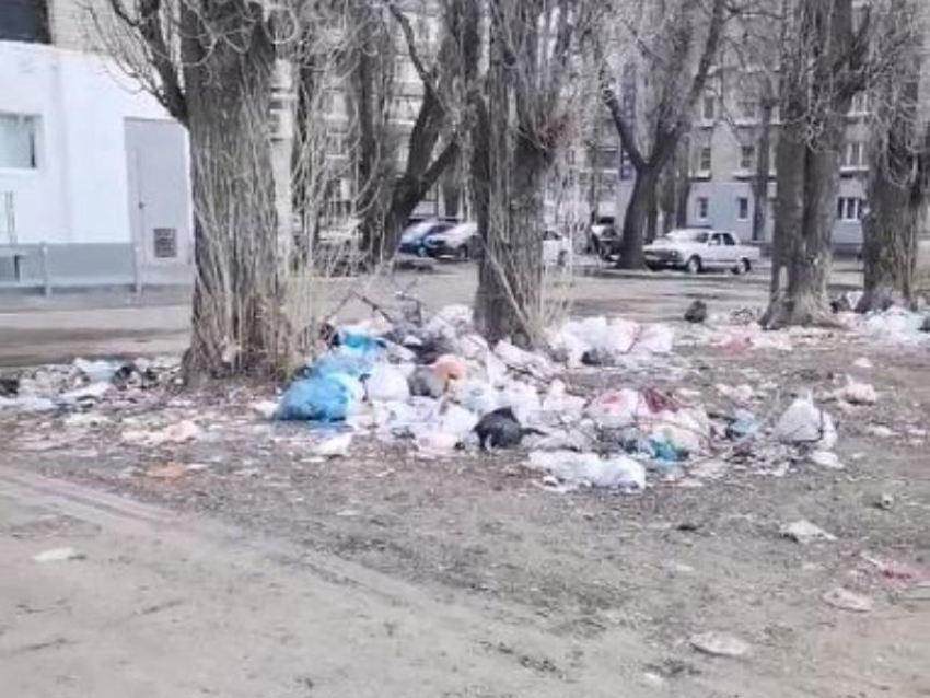 Добровольное превращение двора в дикую помойку наглядно показали в Воронеже