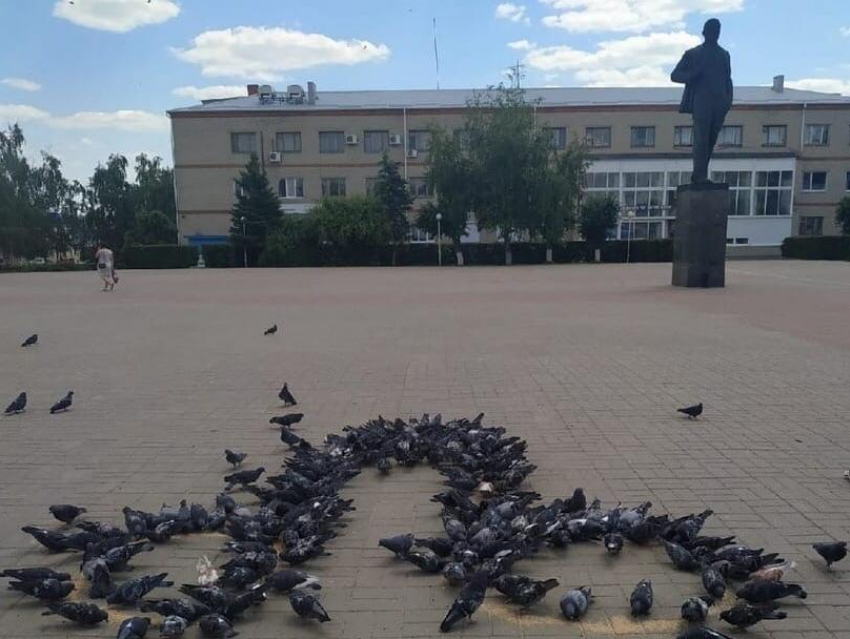 Голуби образовали пенис рядом с памятником Ленину под Воронежем