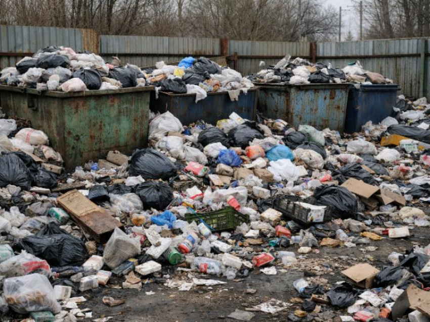 Суд наказал администрацию Борисоглебска за нечистоплотность 