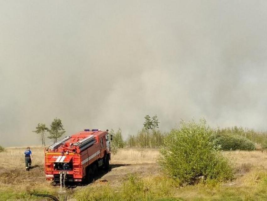 На окраине Воронежа  разбушевался крупный ландшафтный пожар 
