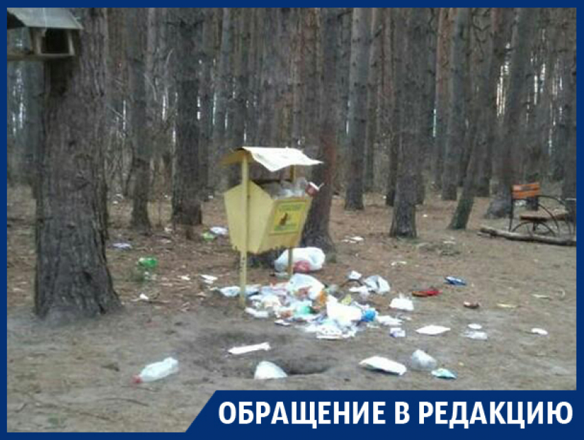 Воронежский особо охраняемый Северный лес превратился в помойку