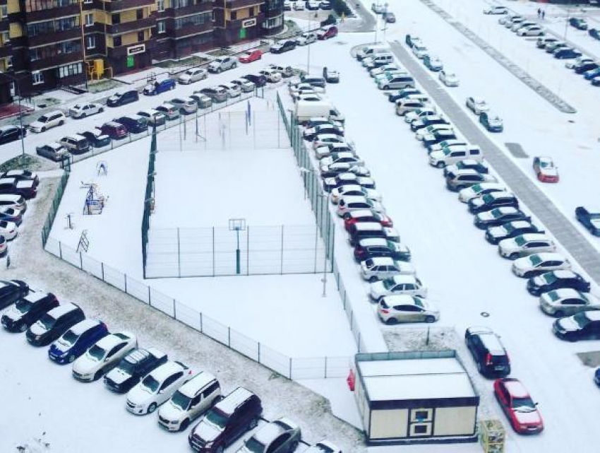 Выпавший снег привел в восторг жителей Воронежа