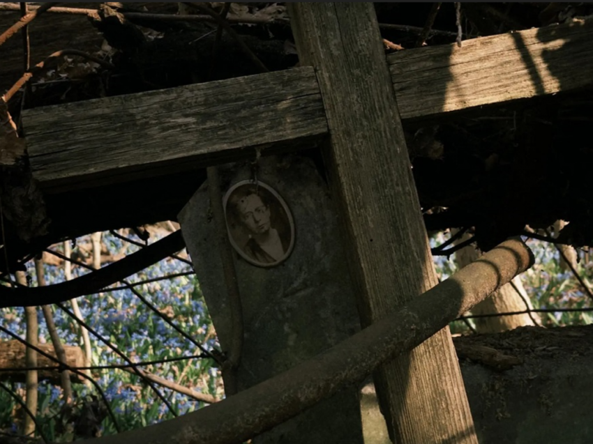 «Никакая это не ведьма»: воронежские краеведы развеяли слухи о мистическом кладбище СХИ