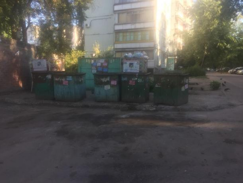 Мэрия оперативно разобралась с мусорными горами после публикации «Блокнот Воронеж"