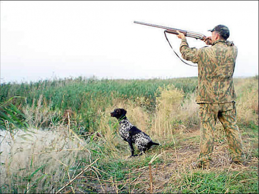 В Воронежской области власти запретили охотиться на дичь