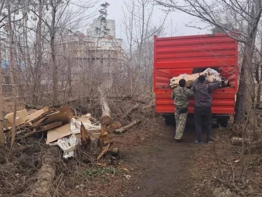 Стихийную свалку убрали из Северного леса в Воронеже