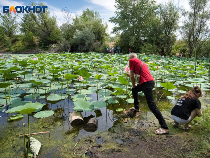 Стало известно, сколько в Воронеже зарабатывают инженеры-экологи