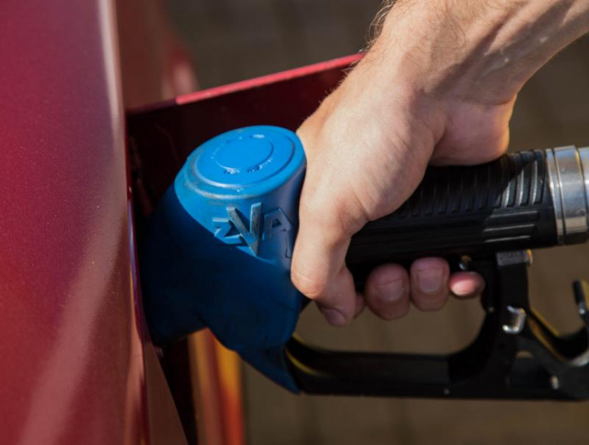 Средняя стоимость бензина «заморозилась» на неделю в Воронеже 