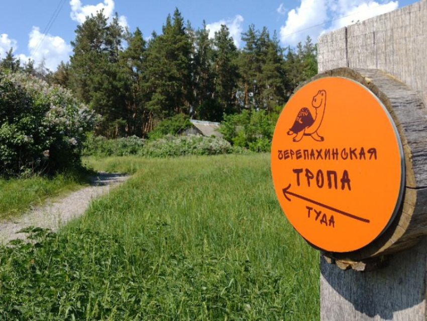 В Воронежском заповеднике после потопа открыли экотропу