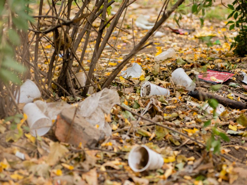 Глава воронежского села попал под статью за свалку мусора на площади 4000 «квадратов»