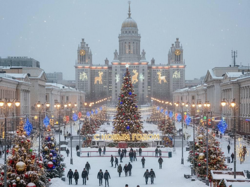 Неделя перед Новым годом в Воронеже: какая погода нас ждет? 