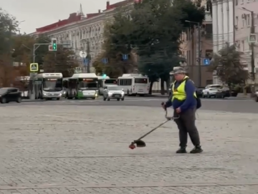 Покос «несанкционированной травки» на площади Ленина объяснили в мэрии Воронежа