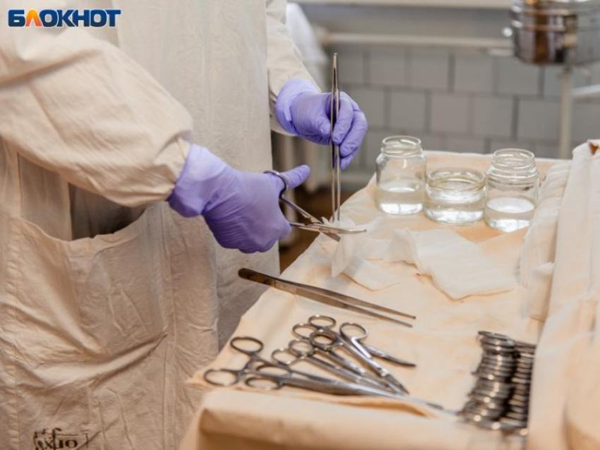 Клещи покусали десятки воронежцев с начала 2025 года