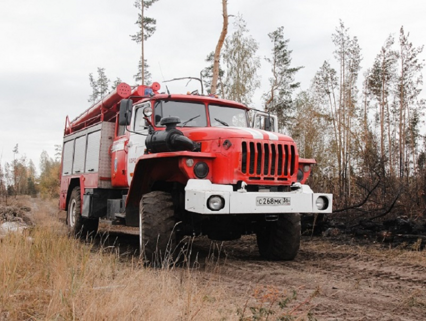 Два трупа нашли спасатели после пожара в Воронежской области 