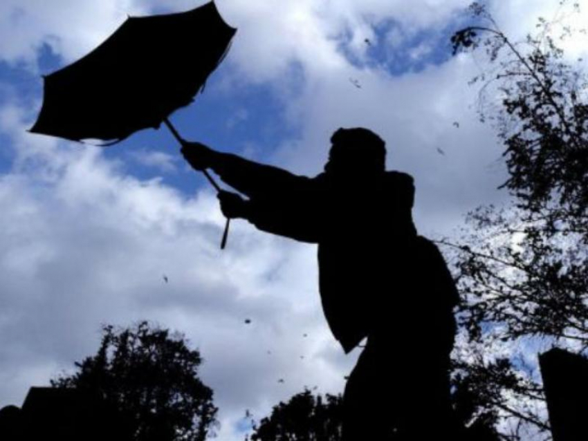 МЧС предупредило воронежцев об опасном ветре