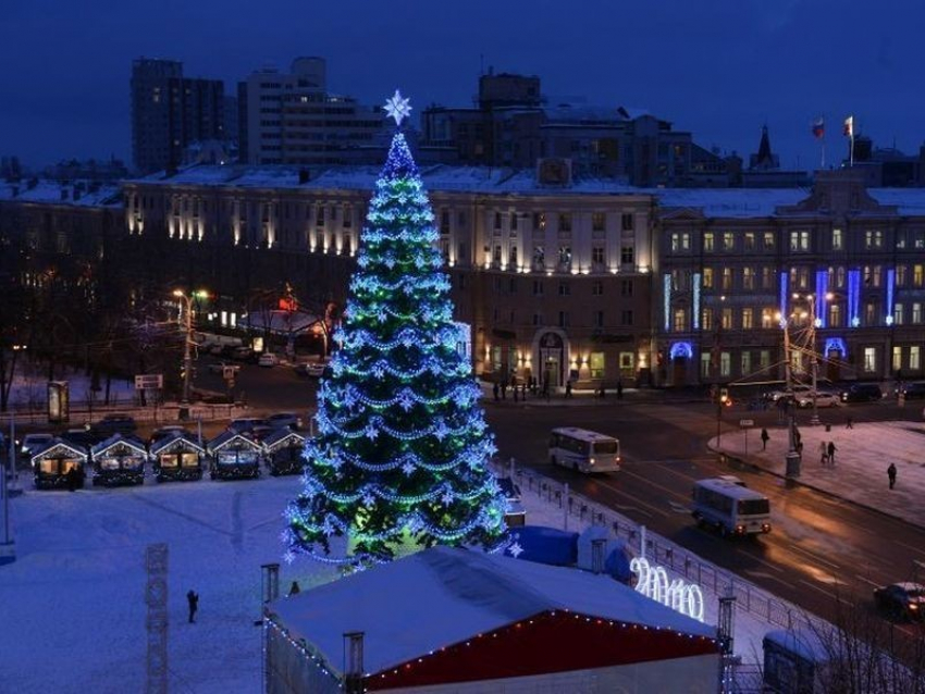 Установка новогодней елки в Воронеже началась со скандала