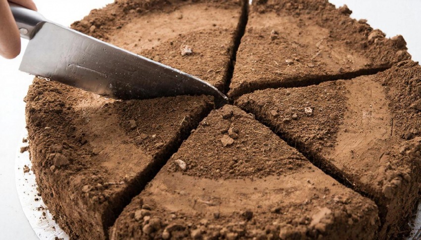 Занижение цены и распил: скандал с земельными участками под Воронежем дошел до суда