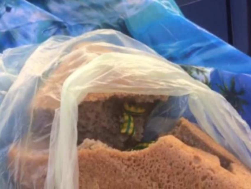 Хлеб с запрещенной «начинкой» нашли у азиата в Воронеже 