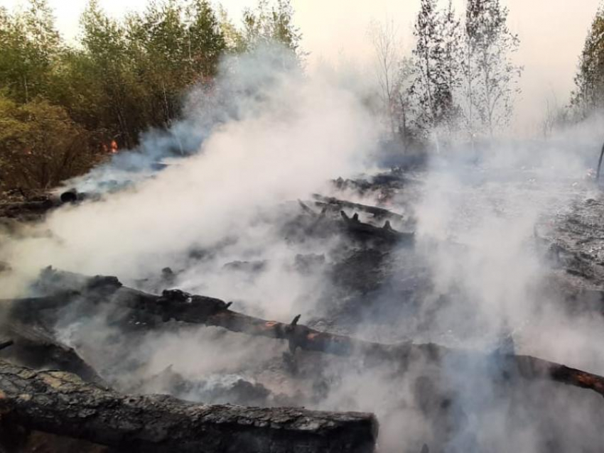 Масштабный лесной пожар угрожает домам под Воронежем
