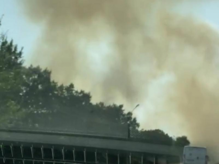 Стали известны подробности о двух ландшафтных пожарах на территории Воронежа 