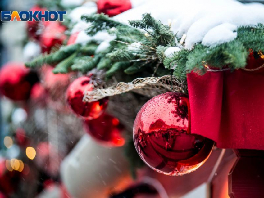 Операция «Ель» пройдет в Воронежской области 