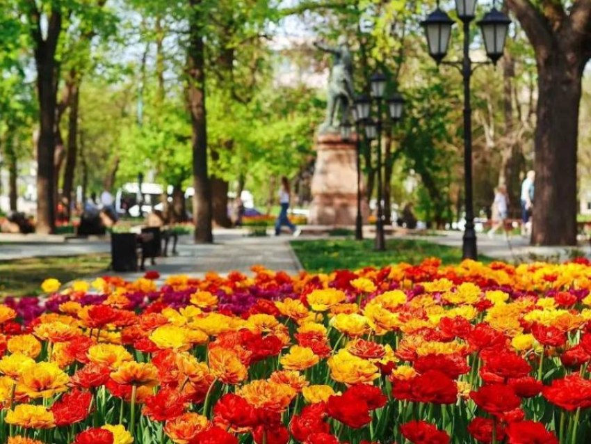 «Воронеж буквально расцвел»: мэр Сергей Петрин поделился захватывающими фото города