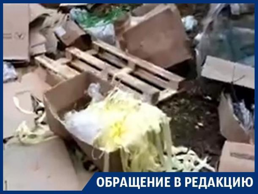 Воронежский лес превратился в мусорку с неприятным запахом ацетона