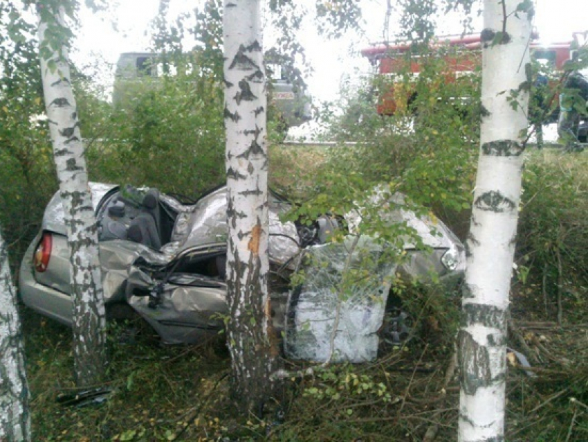 В Воронежской области «Хендай» врезался в дерево: водитель погиб