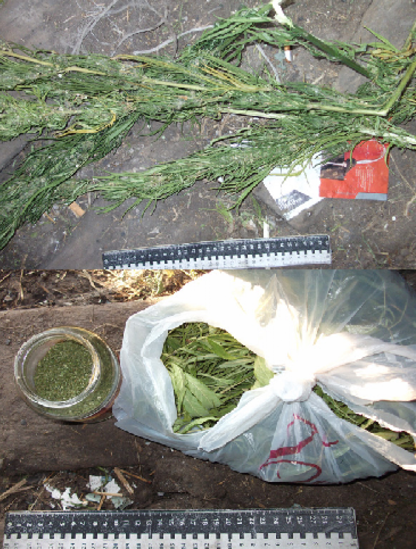 Житель Воронежской области хранил дома более 1 кг марихуаны и угощал ей соседей