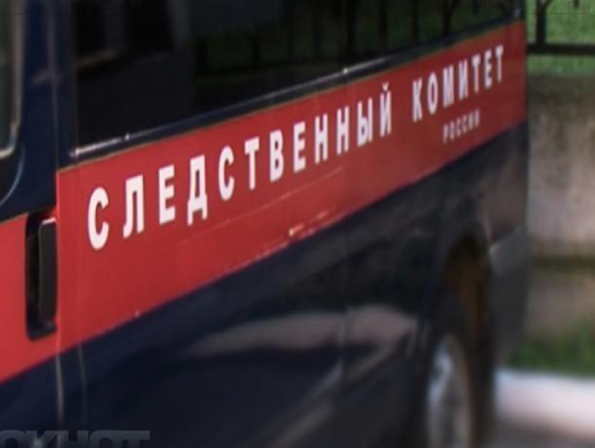 Тело 16-летней девушки нашли в воронежском лесу